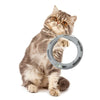 Pet Interactive Playing Toy For Cats Kitten Exercise Tract Ball Toy For Catch Game cat toys ball Training Amusement plate | Vimost Shop.