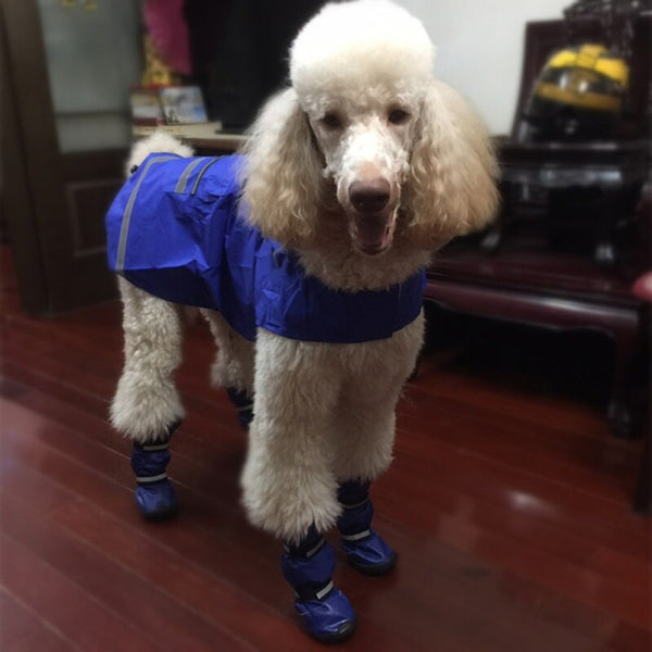 4pcs/set Antiskid Puppy Shoes Soft-soled Dog Shoes Waterproof Soft Pet Paw Care Pet Accessories Chihuahua Yorkie Shoes | Vimost Shop.