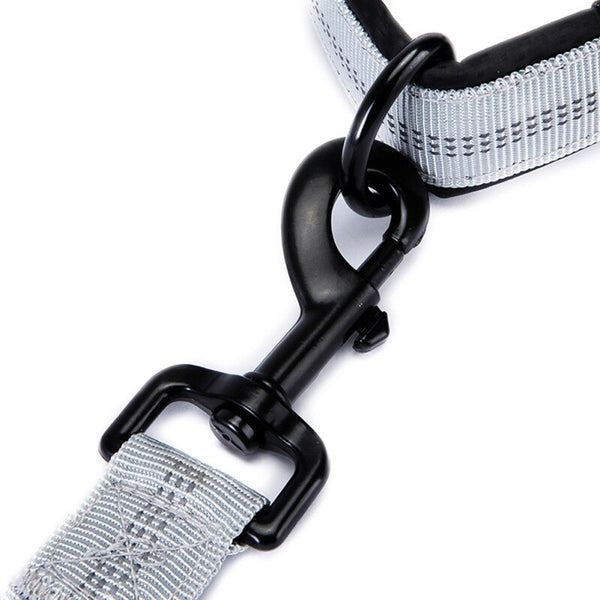 Leash Traction Rope Pet Dog Running Belt Elastic Hands Freely Jogging Pull Dog Leash 2 Colors | Vimost Shop.