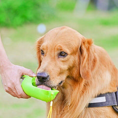 Portable Pet Cups Drinking Bottle Dog Cat Health Feeding Water Feeders Pet Travel Cups Pet Dog Water Bottle For Dog Bowl