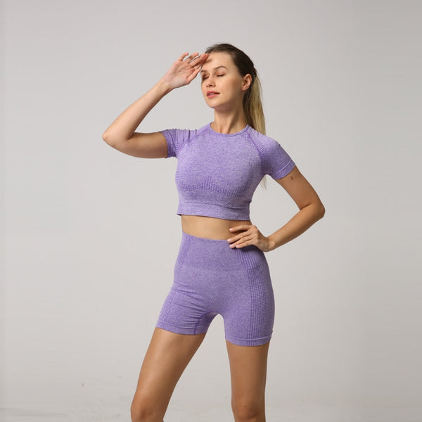 Seamless Women Yoga Set Crop Top Short Sleeve Shirt Fitness Shorts Workout Clothes For Women Gym Clothing Yoga Sport Set