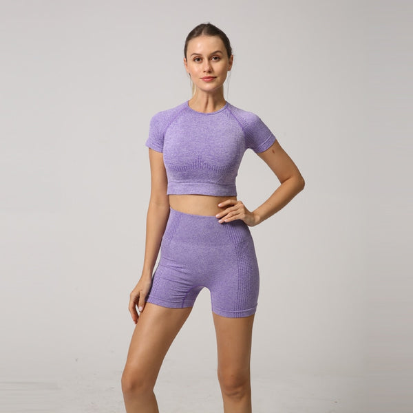 Seamless Women Yoga Set Crop Top Short Sleeve Shirt Fitness Shorts Workout Clothes For Women Gym Clothing Yoga Sport Set
