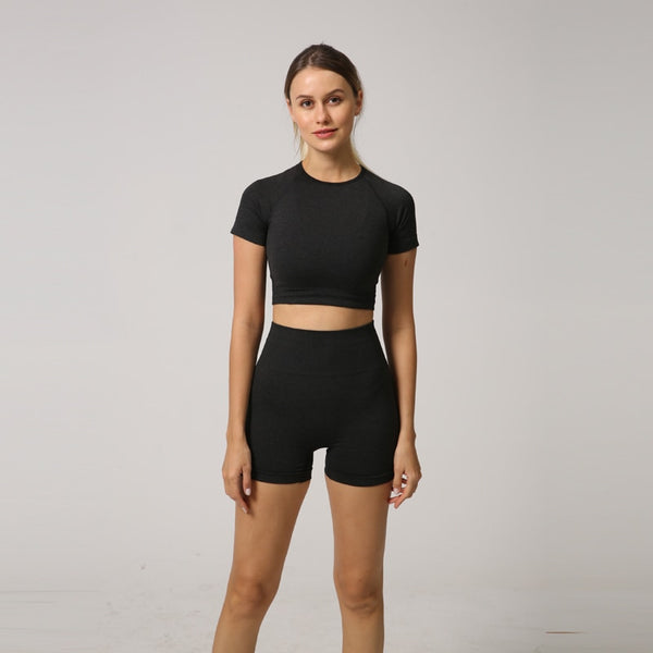Seamless Women Yoga Set Crop Top Short Sleeve Shirt Fitness Shorts Workout Clothes For Women Gym Clothing Yoga Sport Set