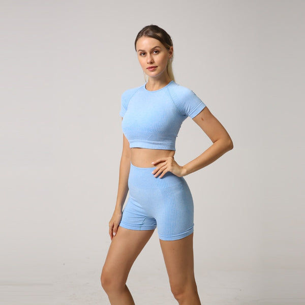 Seamless Women Yoga Set Crop Top Short Sleeve Shirt Fitness Shorts Workout Clothes For Women Gym Clothing Yoga Sport Set