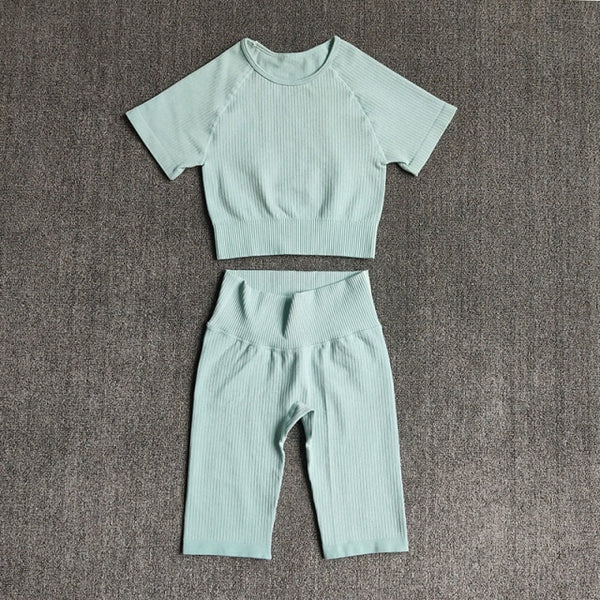 Seamless Yoga Set Women 2pcs Crop Top T-shirt High Waist Shorts Gym Clothes Sport Suit Workout Outfit Sport Wear