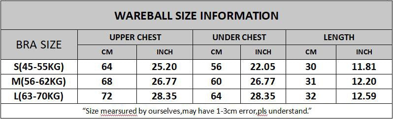 Seamless Sport Bra Women's Lingerie Fitness Yoga Running Vest Underwear Padded Crop Tops Underwear Push Up Gym Top Bras