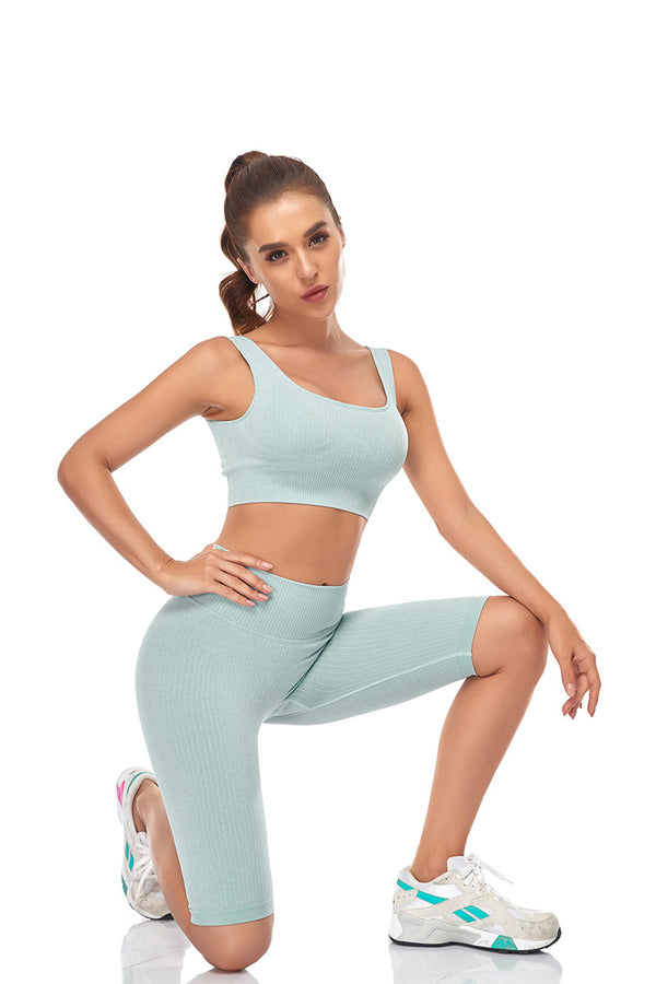 Seamless Women Yoga Set Sports Bra Sports Shorts Fitness Wear Outfit 2 Piece Gym Yoga Sets Workout Suits