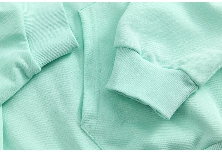 Hoodie Men Hit Color Animal Graphic Print Big Pockets 3 Color Optional Loose Hip Hop Fashion Pullover Couple Streetwear