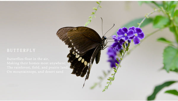 Women Watches Japan Quartz Movement 3D Butterfly Top Brand Luxury Stainless Steel Waterproof Wristwatches