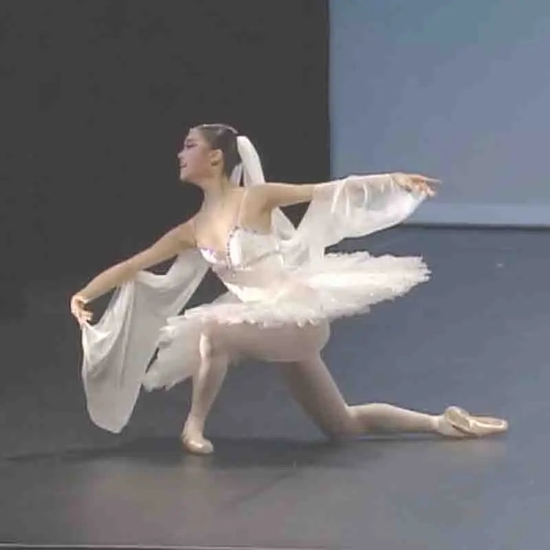 Pancake Ballet Tutu Costume with Decorated Bodice and Multiple Style Options