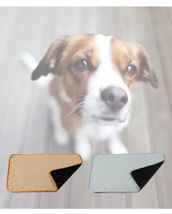 Reusable Pet Diaper Mat for Dogs Training Pee Pads Washable Dog Bed Mats Fast Absorbing Puppy Urine Pad Rug Dog Supplies