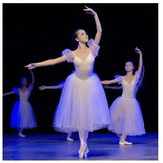 Pancake Ballet Tutu Costume with Decorated Bodice and Multiple Style Options