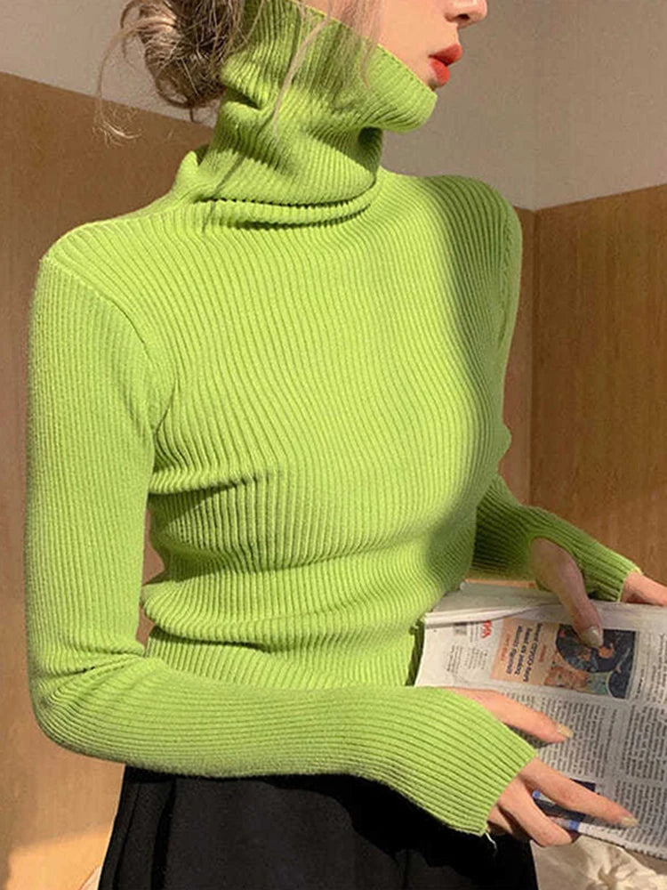 Women's Ribbed Roll Neck Long Sleeve Sweater Casual Knit Layer