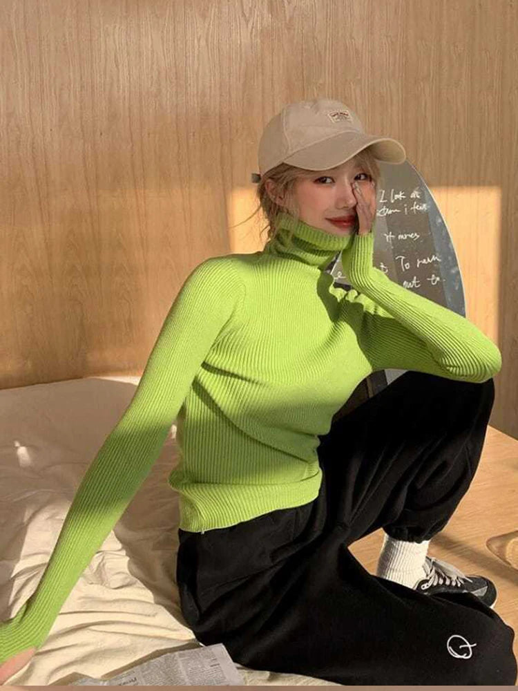 Women's Ribbed Roll Neck Long Sleeve Sweater Casual Knit Layer