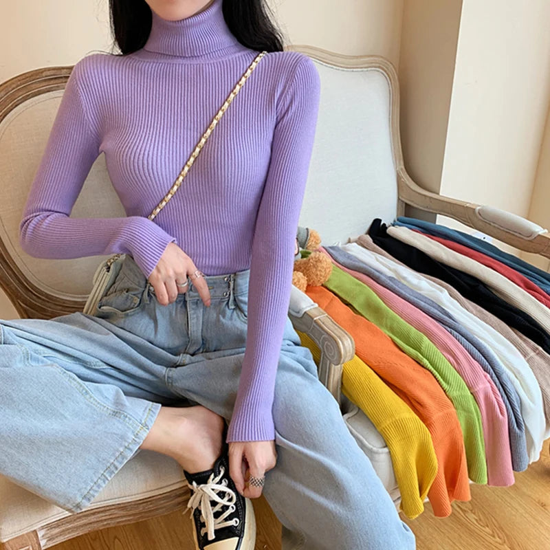 Women's Fitted Ribbed Roll Neck Sweater Casual Knit Layer
