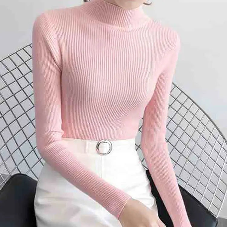 Women's Plain Roll Neck Long Sleeve Sweater Casual Knit Layer