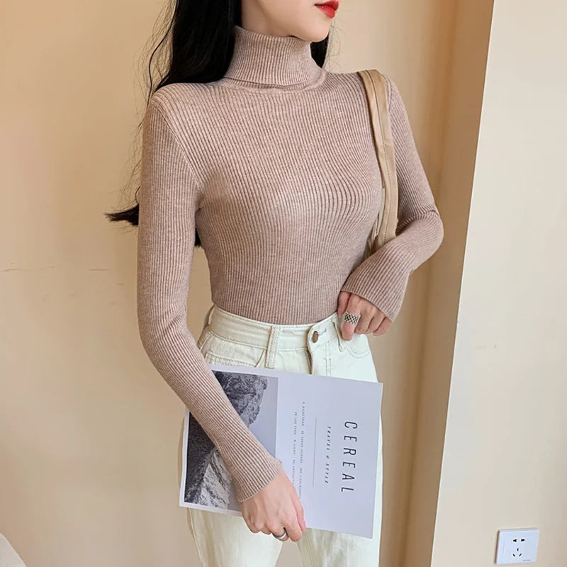 Women's Fitted Ribbed Roll Neck Sweater Casual Knit Layer