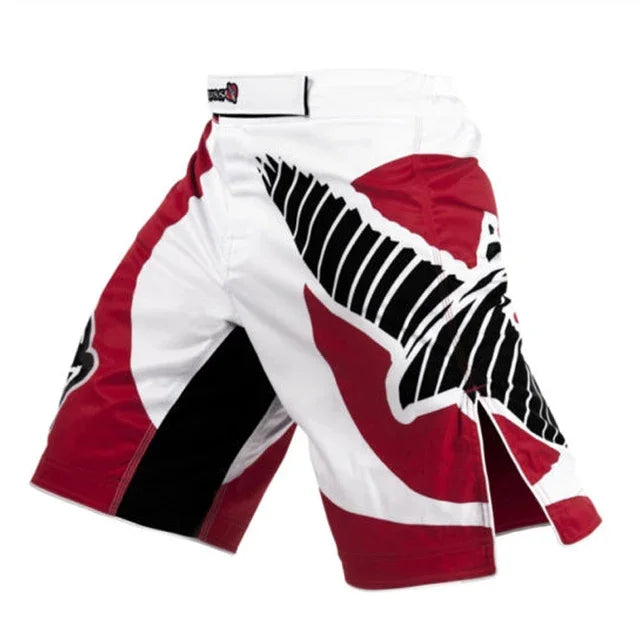 Graphic MMA Training Shorts