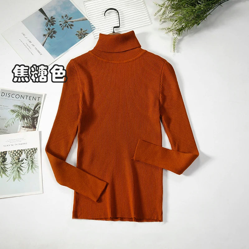 Women's Ribbed Roll Neck Long Sleeve Sweater Casual Knit Layer