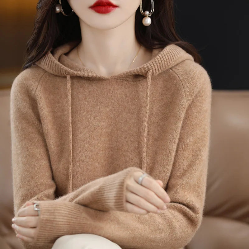 Hooded Long Sleeve Fine Knit Casual Pullover Sweater