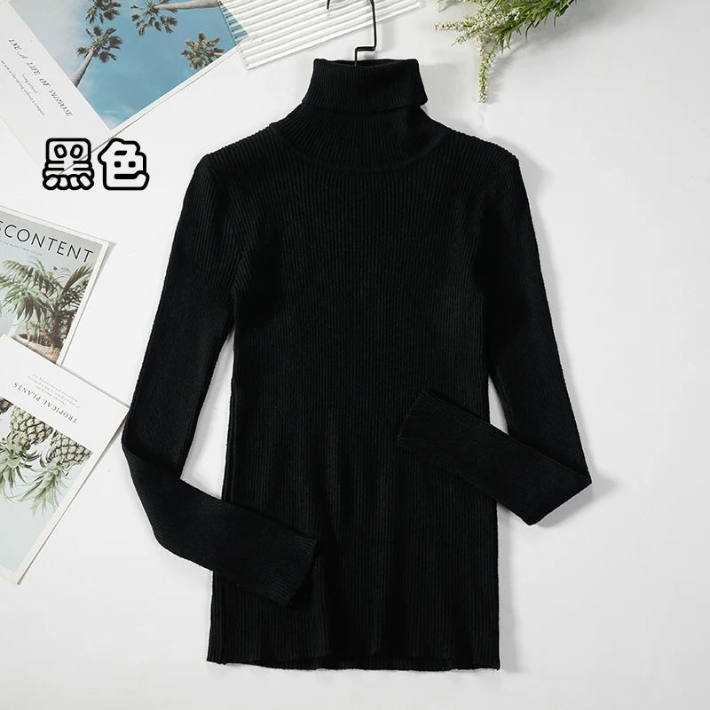 Women's Ribbed Roll Neck Long Sleeve Sweater Casual Knit Layer