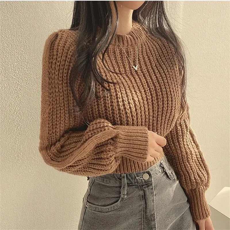 Women's Cropped Chunky Crew Neck Sweater Casual Knit Layer