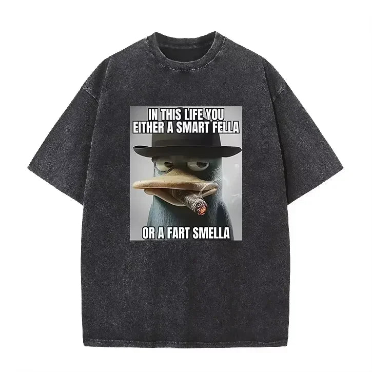 Retro Acid Wash Oversized T-shirt Funny Perry Platypus Meme Cartoon Print Casual Streetwear Tops