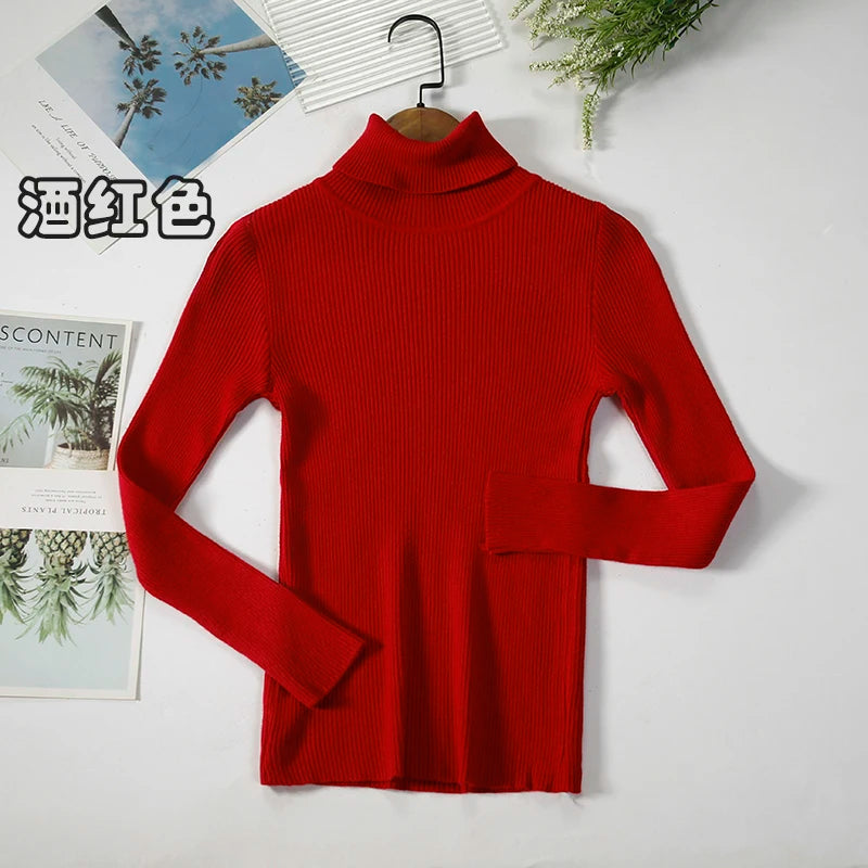 Women's Ribbed Roll Neck Long Sleeve Sweater Casual Knit Layer