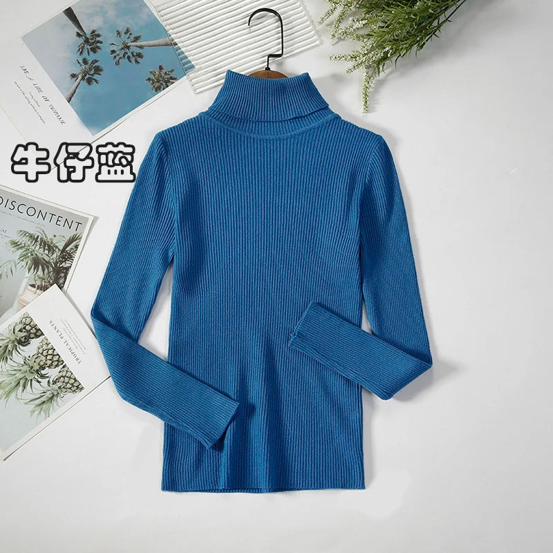 Women's Ribbed Roll Neck Long Sleeve Sweater Casual Knit Layer