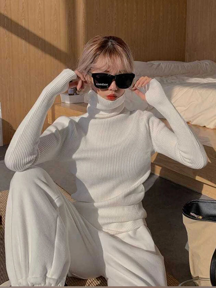 Women's Ribbed Roll Neck Long Sleeve Sweater Casual Knit Layer