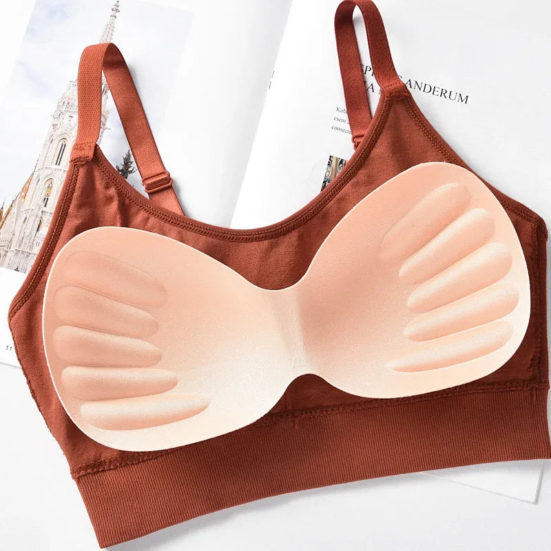 Women's Ribbed Scoop Neck Everyday Bra