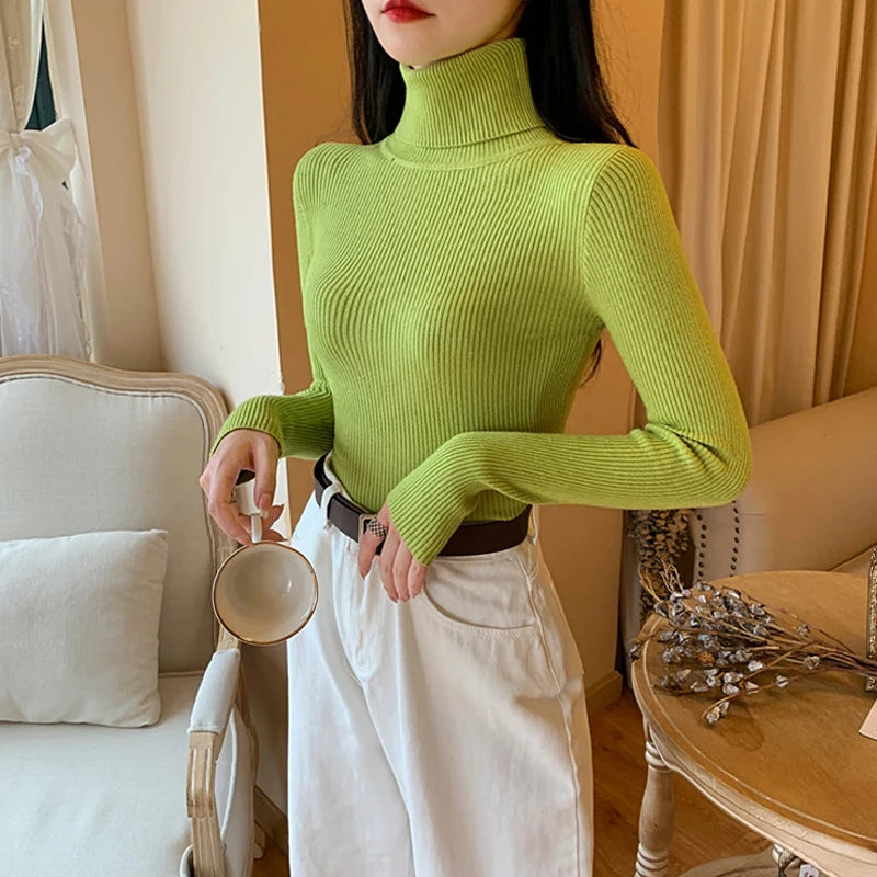 Women's Fitted Ribbed Roll Neck Sweater Casual Knit Layer