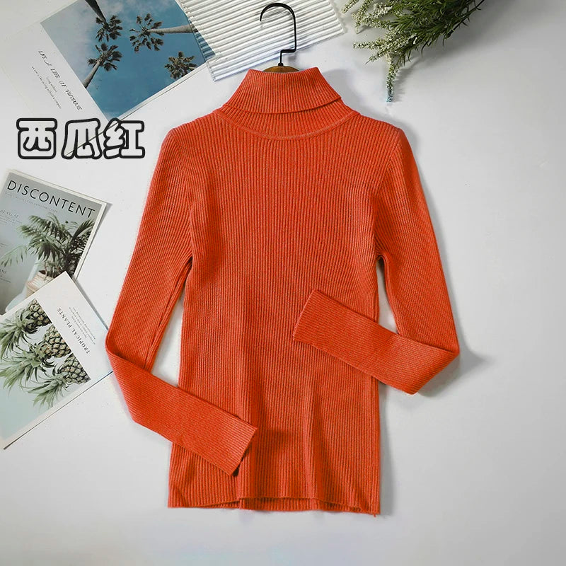 Women's Ribbed Roll Neck Long Sleeve Sweater Casual Knit Layer