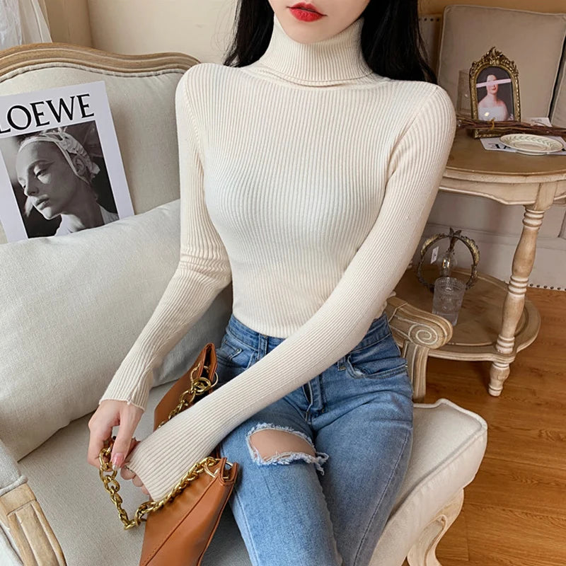Women's Fitted Ribbed Roll Neck Sweater Casual Knit Layer