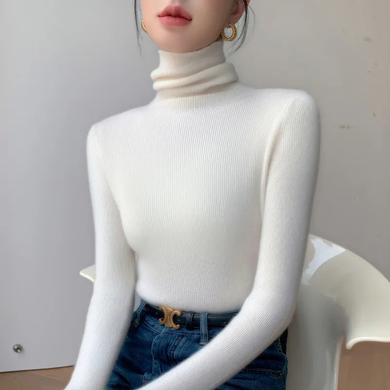 Women's Fitted Roll Neck Long Sleeve Sweater Casual Knit Layer