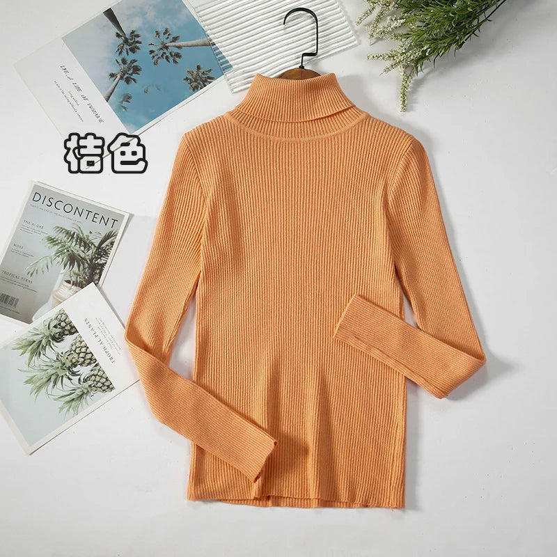 Women's Ribbed Roll Neck Long Sleeve Sweater Casual Knit Layer