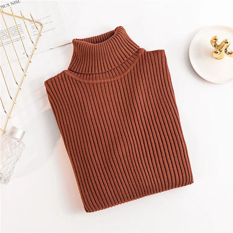 Women's Fitted Ribbed Roll Neck Sweater Casual Knit Layer