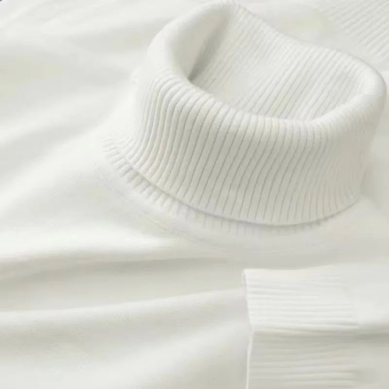 Men's Turtleneck Long Sleeve Knit Sweater