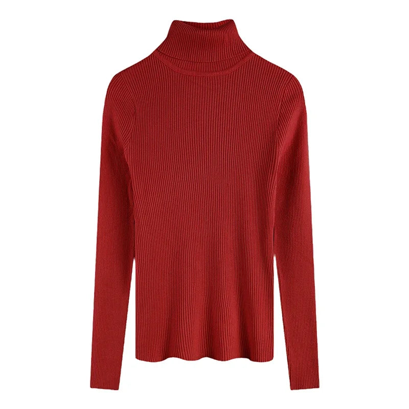 Women's Fitted Ribbed Roll Neck Sweater Casual Knit Layer