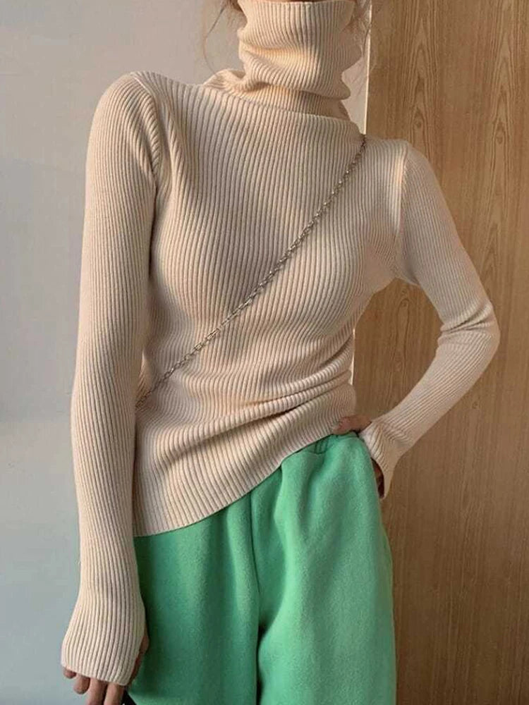 Women's Ribbed Roll Neck Long Sleeve Sweater Casual Knit Layer