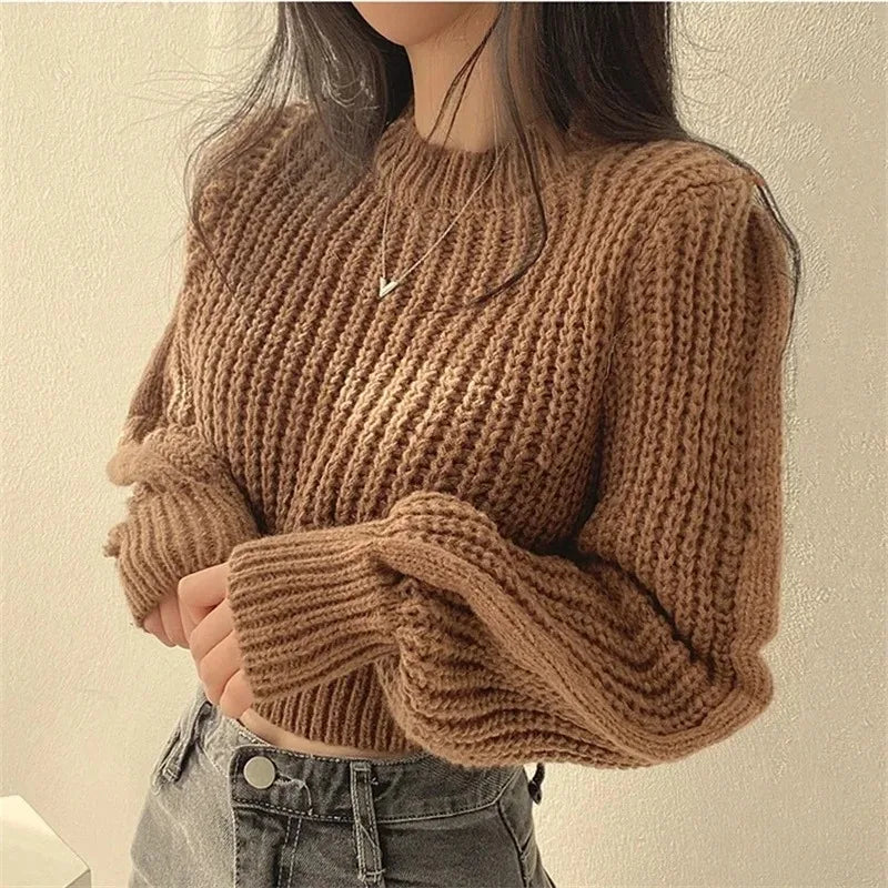 Women's Cropped Chunky Crew Neck Sweater Casual Knit Layer