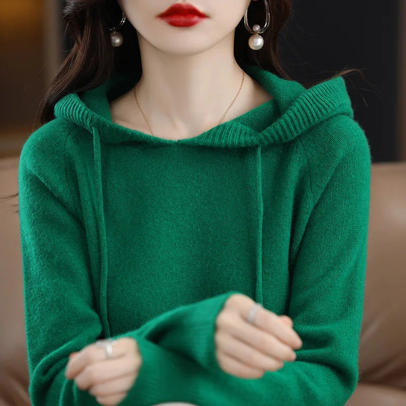 Hooded Long Sleeve Fine Knit Casual Pullover Sweater