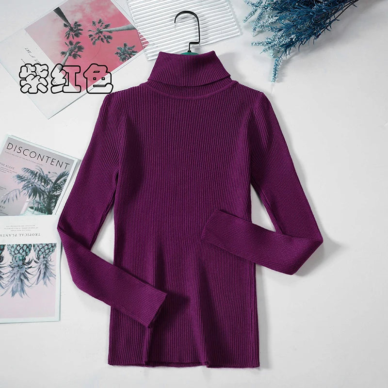 Women's Ribbed Roll Neck Long Sleeve Sweater Casual Knit Layer