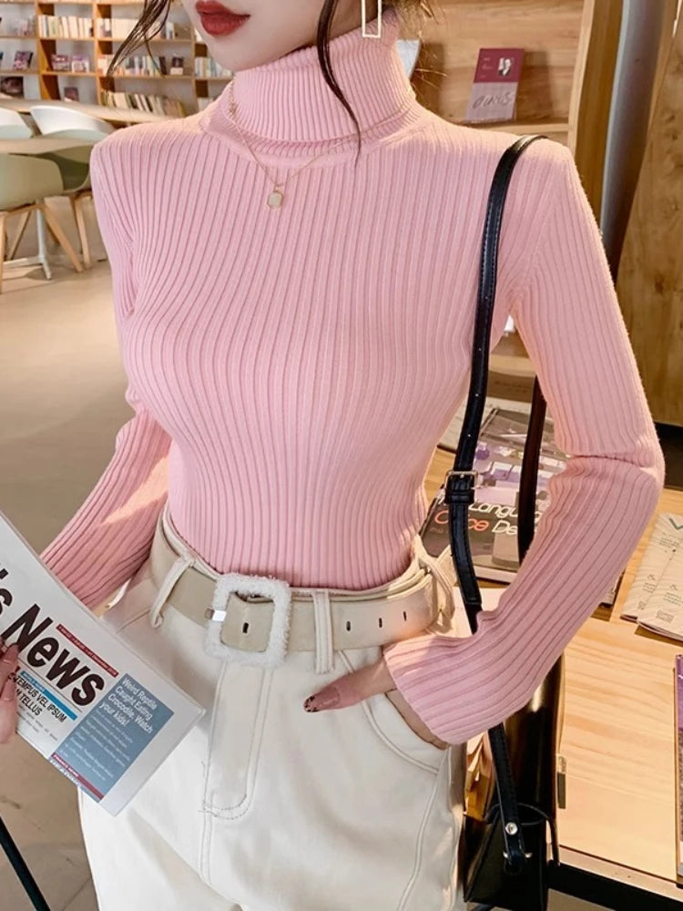 Women's Fitted Ribbed Roll Neck Sweater Casual Knit Layer