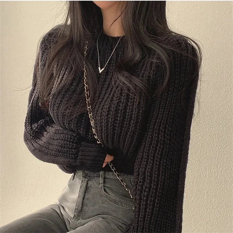 Women's Cropped Chunky Crew Neck Sweater Casual Knit Layer