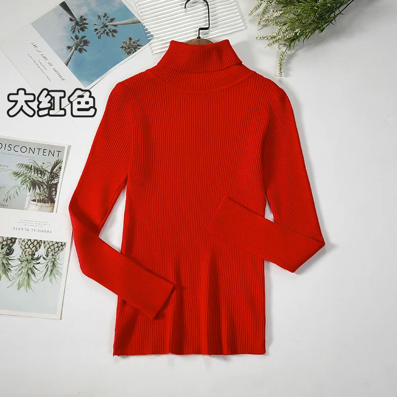 Women's Ribbed Roll Neck Long Sleeve Sweater Casual Knit Layer