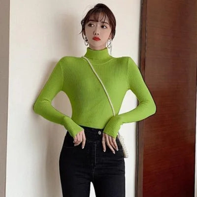 Women's Fitted Ribbed Roll Neck Sweater Casual Knit Layer
