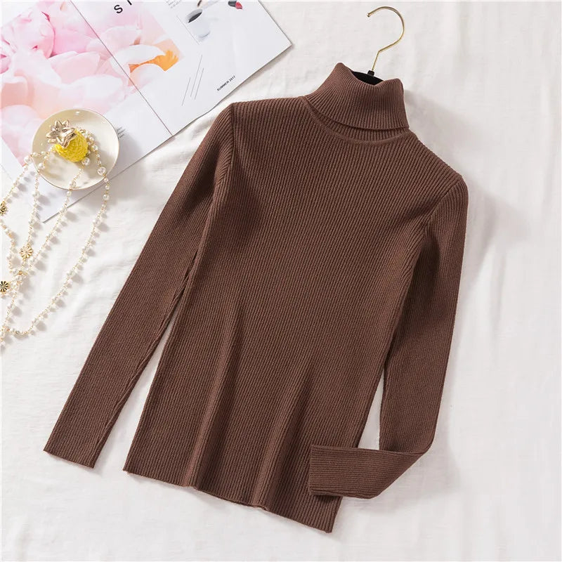 Women's Fitted Ribbed Roll Neck Sweater Casual Knit Layer