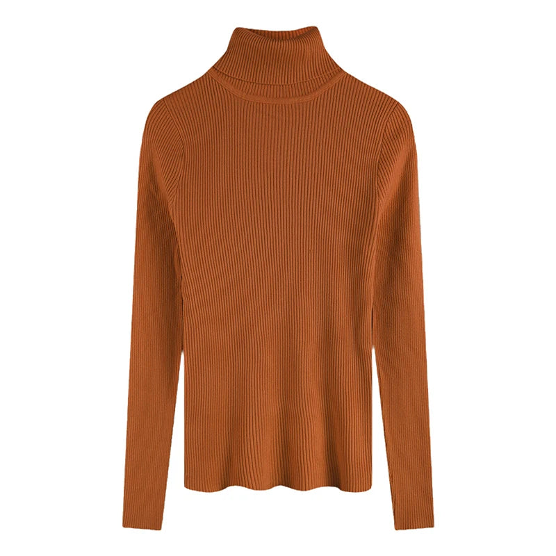 Women's Fitted Ribbed Roll Neck Sweater Casual Knit Layer