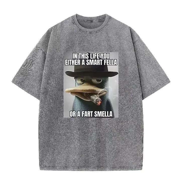 Retro Acid Wash Oversized T-shirt Funny Perry Platypus Meme Cartoon Print Casual Streetwear Tops